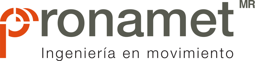 Aula Virtual PRONAMET